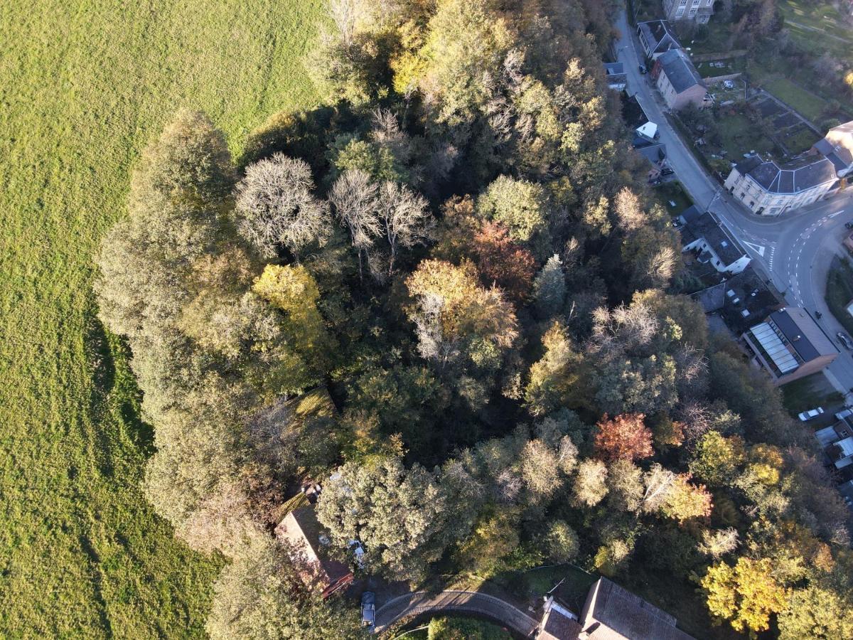 Gites Douillets A L'Oree Des Bois. Houyet Exterior foto